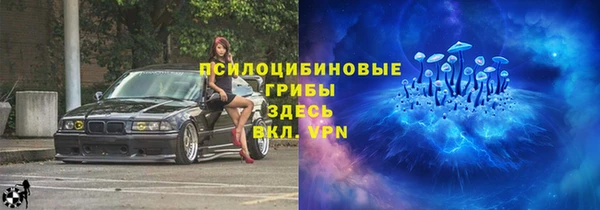 герыч Алексин