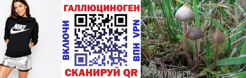 Галлюциногенные грибы мухоморы Ликино-Дулёво